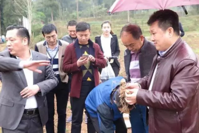 1492582541665758.jpg 4.webp.jpg