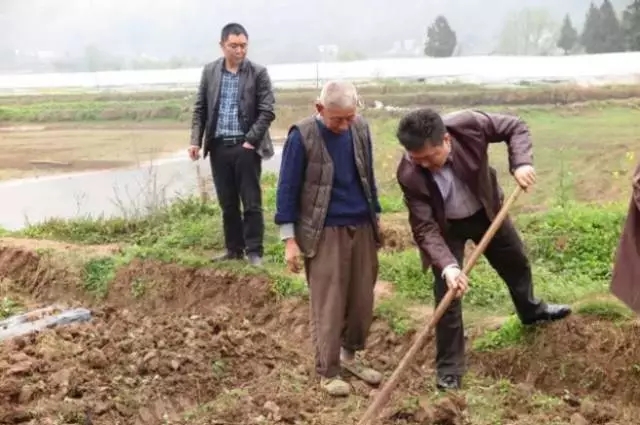 1492582560721543.jpg 5.webp.jpg